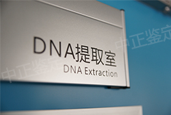 南昌个人DNA亲子鉴定要如何办理,南昌隐私亲子鉴定机构地址在哪里 南昌个人DNA亲子鉴定要如何办理,南昌隐私亲子鉴定机构地址在哪里